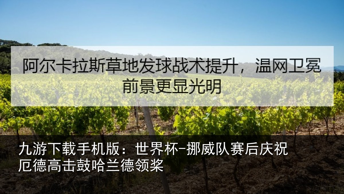 九游下载手机版:世界杯-挪威队赛后庆祝相关情况领桨