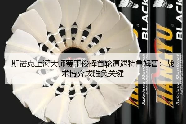si-nuo-ke-shang-hai-da-shi-sai-ding-jun-hui-shou-lun-zao-yu-te-lu-mu-pu-zhan-shu-bo-yi-cheng-sheng-fu-guan-jian-2-391.jpg