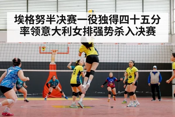 volleyball match arena