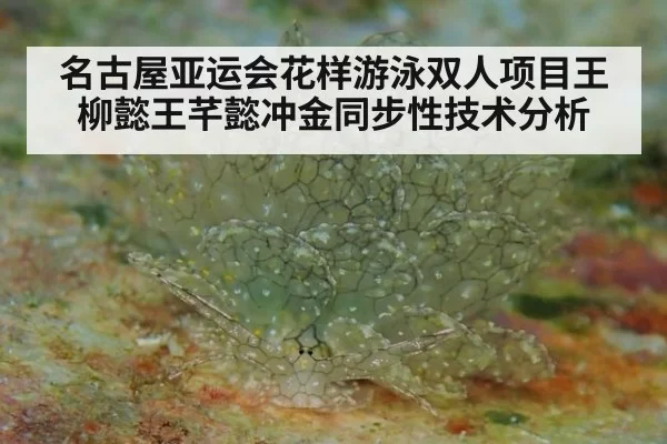 名古屋亚运会花样游泳双人项目王柳懿王芊懿冲金同步性技术分析