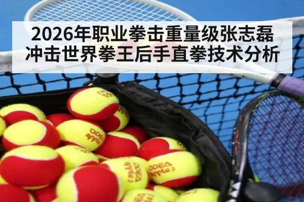 2026年职业拳击重量级张志磊冲击世界拳王后手直拳技术分析